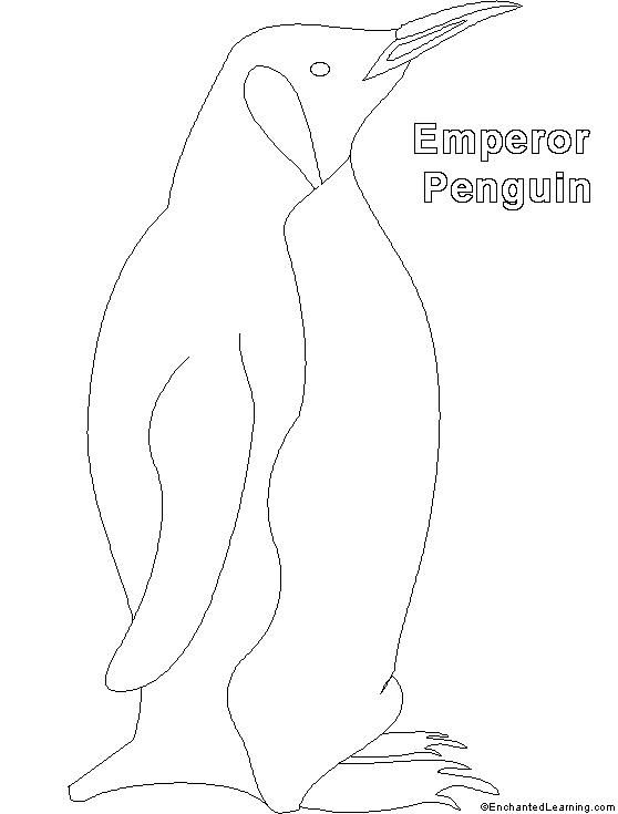 Emperor penguin outline penguin coloring pages penguin coloring emperor penguin