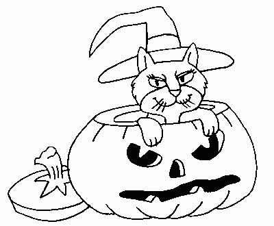 Pumpkin cat page