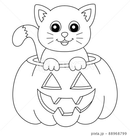 Pumpkin cat halloween coloring page isolated