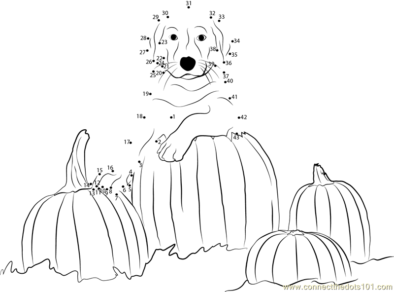 Dog with pumpkin dot to dot printable worksheet