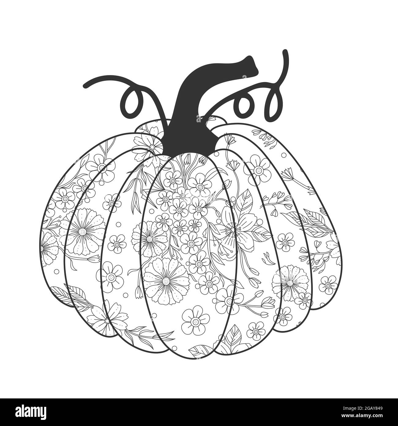 Pumpkin flower outline arrangement isolated on white background page for adult coloring book vector hand drawn illustration autumn fall concept stock vector image art