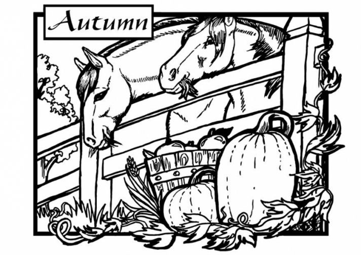 Vibrant fall coloring pages for everyone