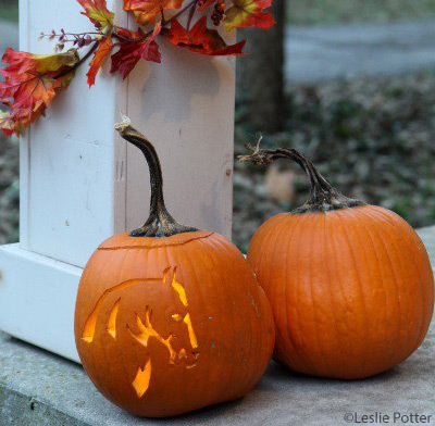 Carve perfect horse jack