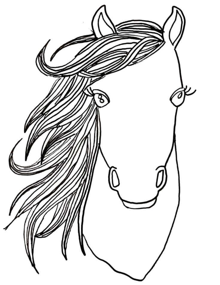 How to draw a horse head like a pro step