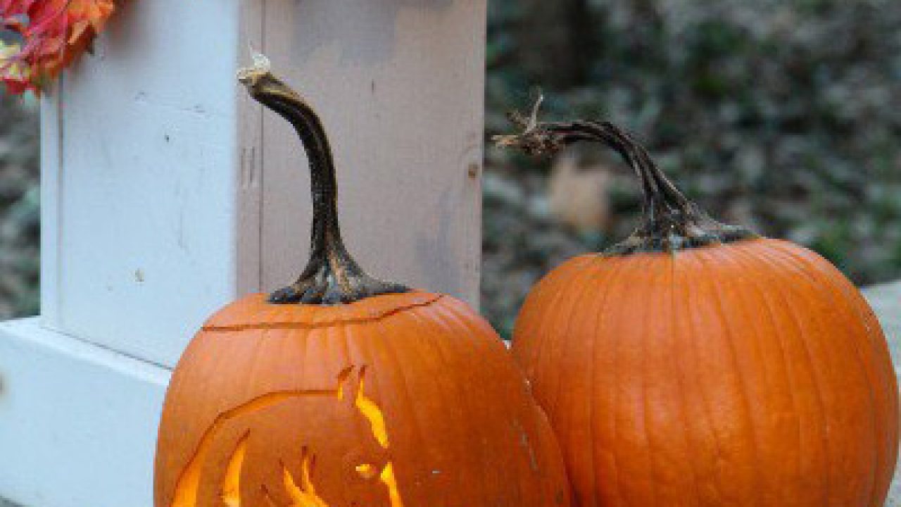 Carve perfect horse jack