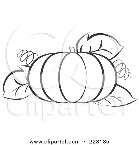 Coloring page outline of a pumpkin with tendrils and leaves posters art prints by