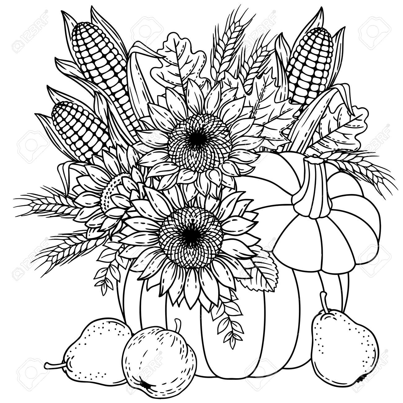 Autumn harvest for thanksgiving coloring vector for adults bouquet in a vase with pumpkin sunflower corn apple pear ears of wheat royalty free svg cliparts vectors and stock illustration image
