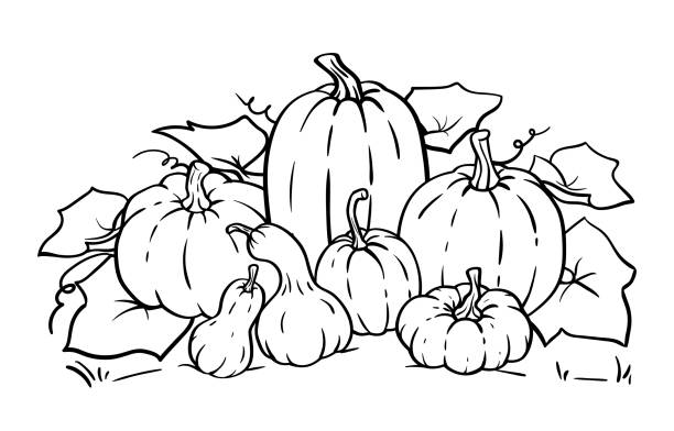 Fall coloring pages stock photos pictures royalty