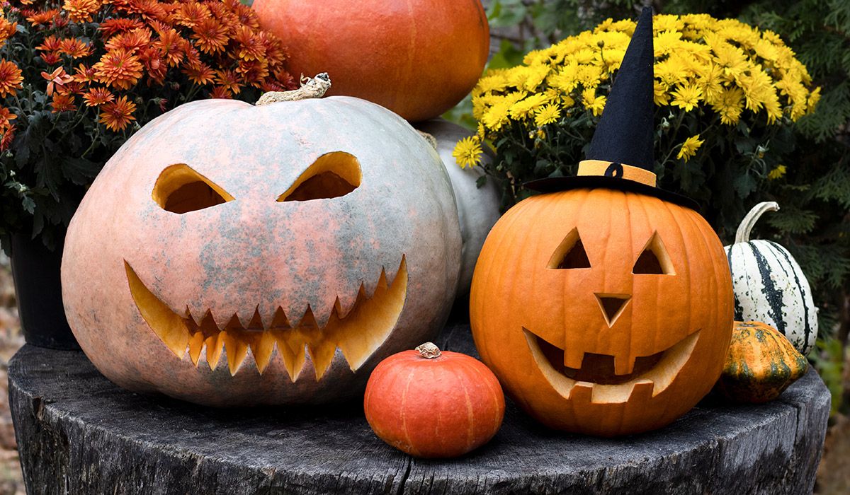 Best pumpkin face ideas â carved and painted pumpkin faces