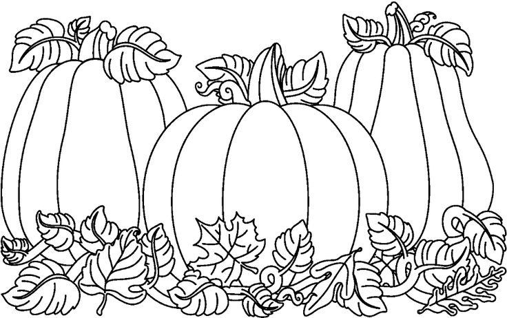 Pumpkin black and white pumpkin clipart black and white
