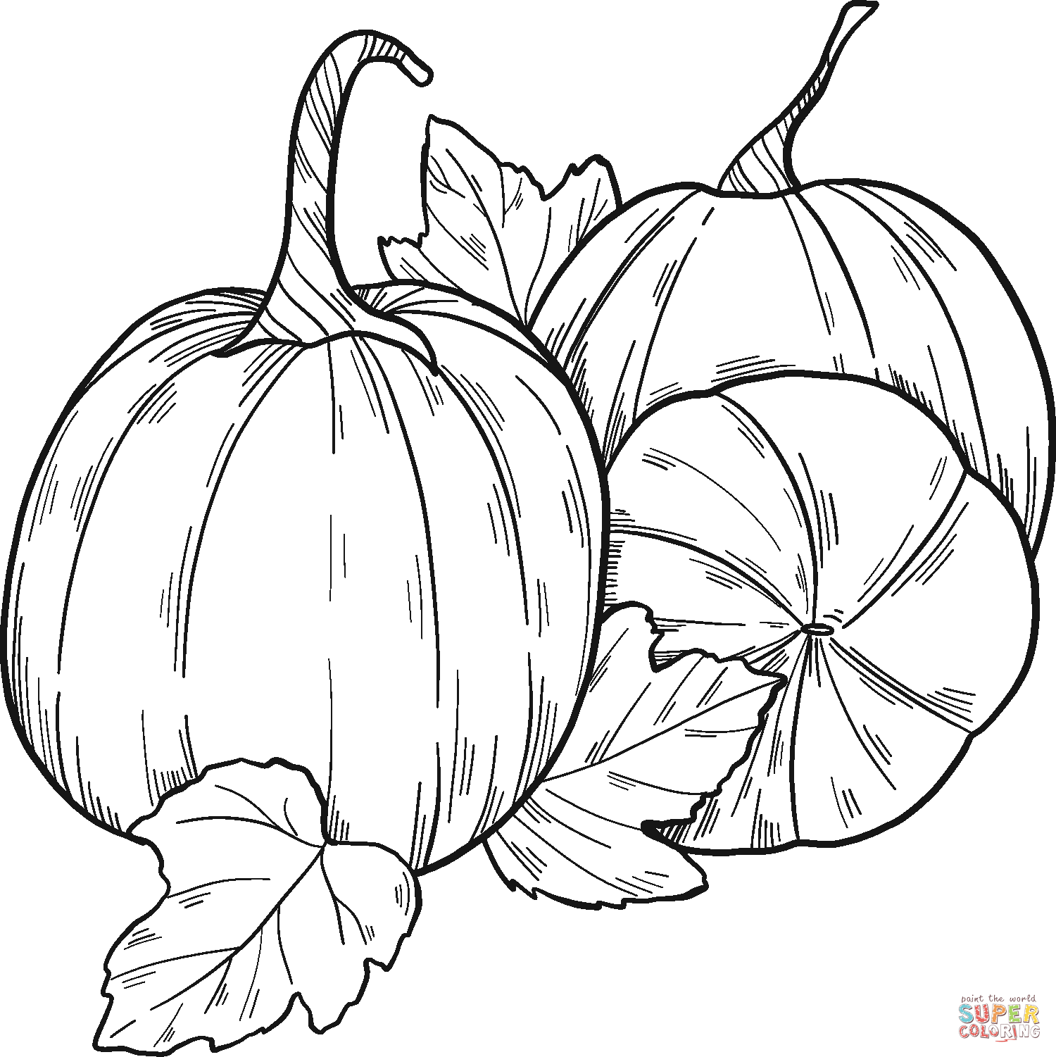 Pumpkin patch coloring page free printable coloring pages