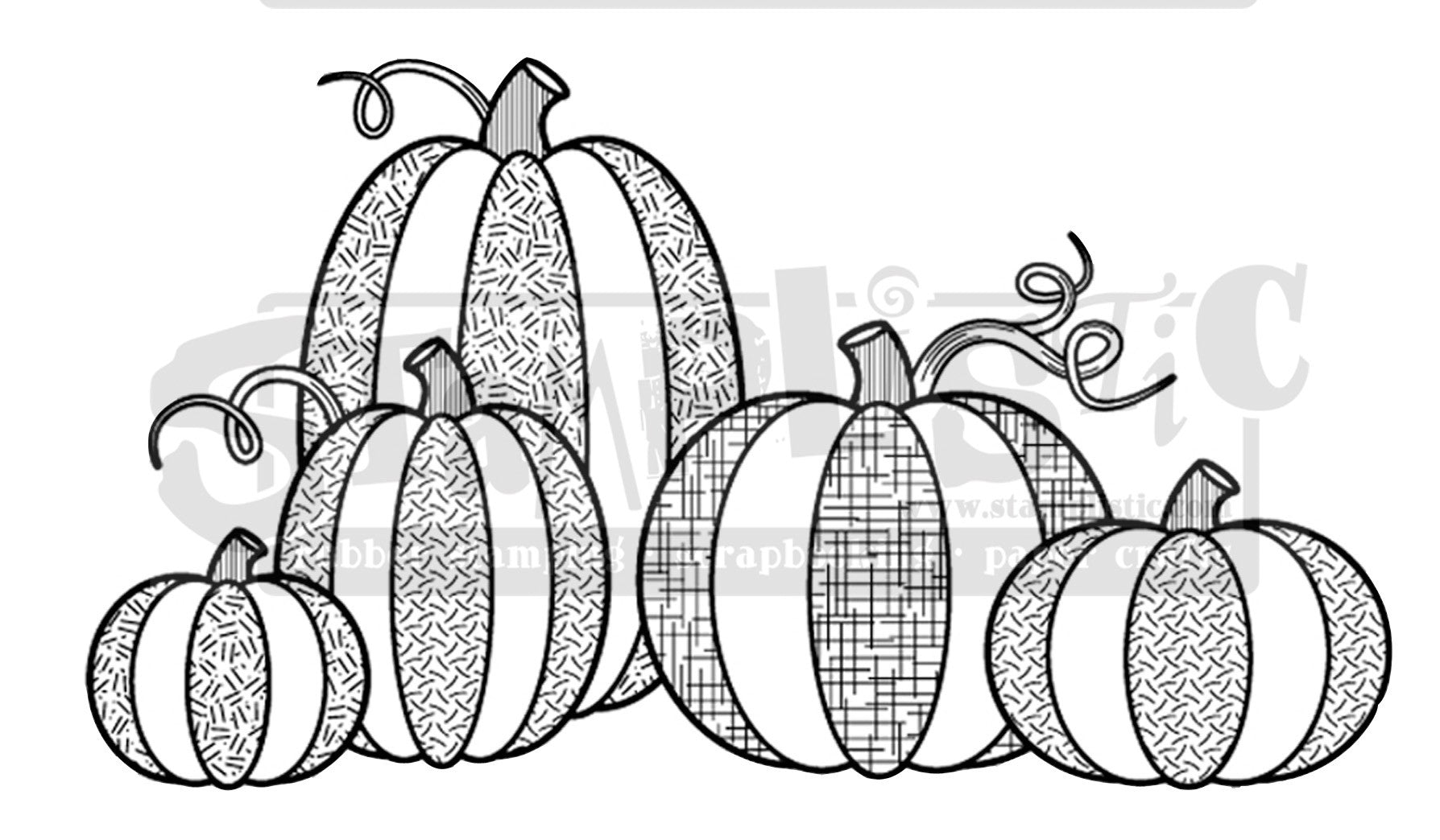 Pumpkin patch