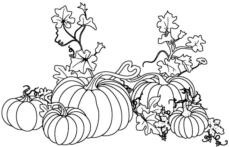 Printable coloring pages coloring pages paw patrol coloring pages fall coloring pages