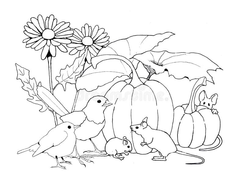 Pumpkin patch stock illustrations â pumpkin patch stock illustrations vectors clipart