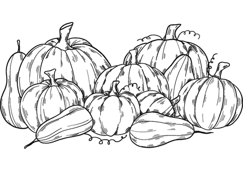 Pumpkin patch coloring page free printable coloring pages