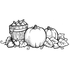 Top free printable pumpkin patch coloring pages online