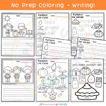 Pumpkin coloring pages pumpkin life cycle pumpkin pie recipe coloring