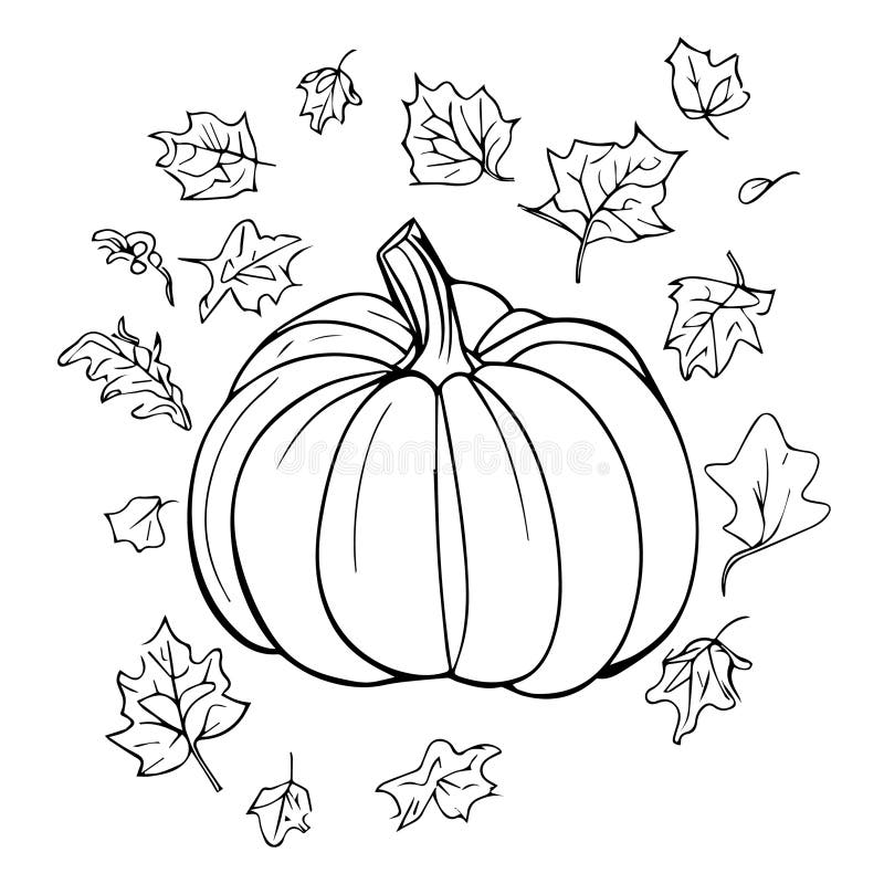 Pumpkin coloring pages stock illustrations â pumpkin coloring pages stock illustrations vectors clipart