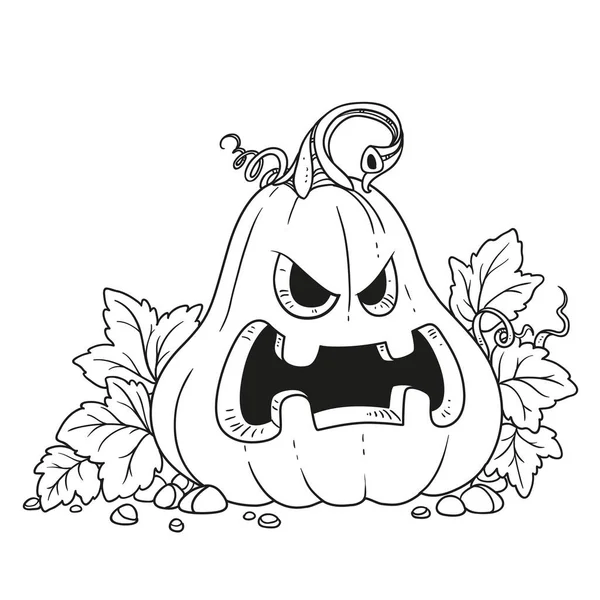 Pumpkin coloring page vector images