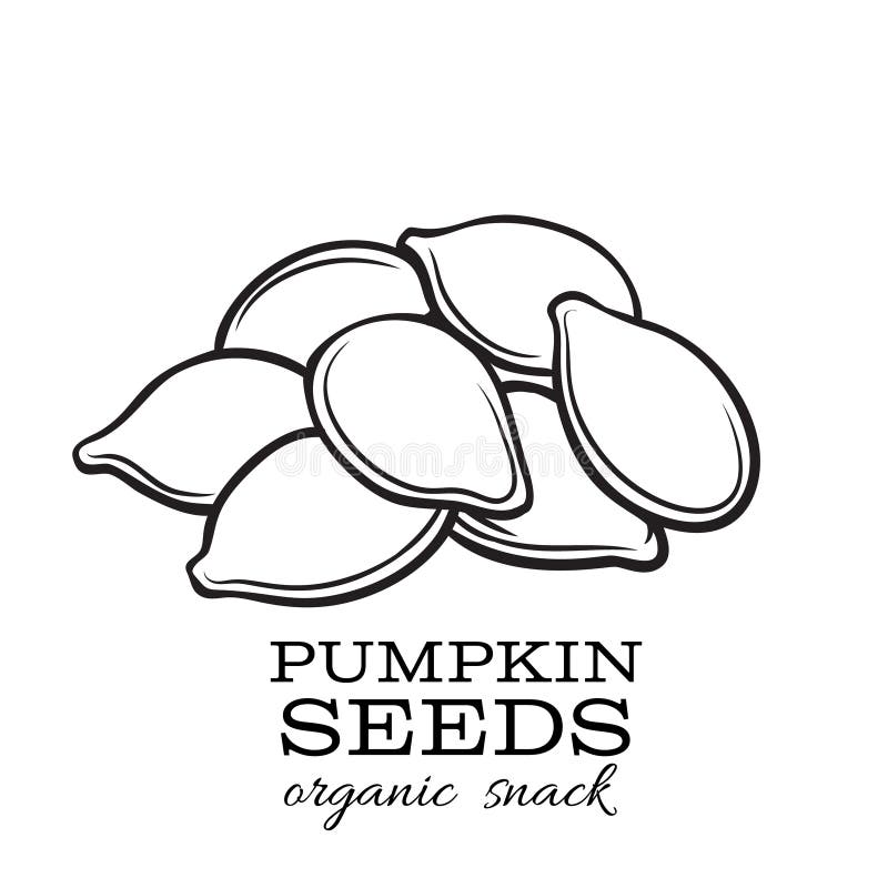 Pumpkin seed stock illustrations â pumpkin seed stock illustrations vectors clipart