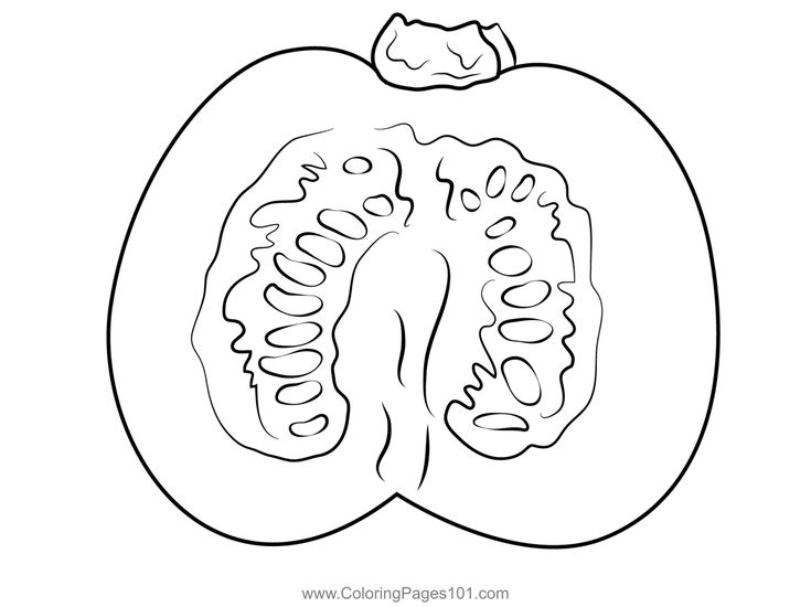 Pumpk seeds colorg page pumpk colorg pages colorg pages pumpk prtable