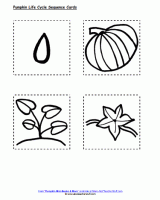 Pumpkin seed estimation sheet a to z teacher stuff printable pages and worksheets