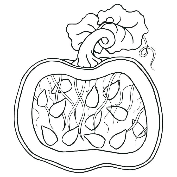 Image result for preschool coloring pumpkin coloring pages parts of a pumpkin coloring contest