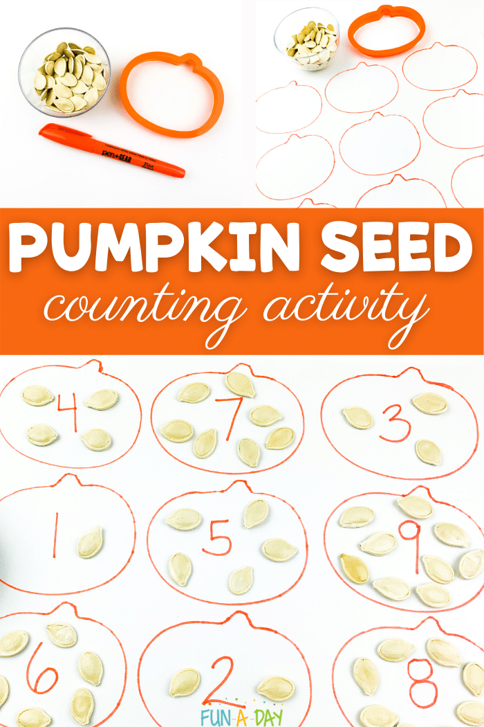 Super simple pumpkin seed counting activity