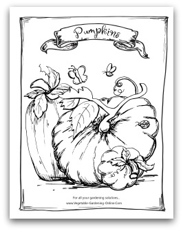 Free vegetable garden coloring books
