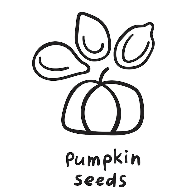 Premium vector outline vector illustration pumpkin seeds