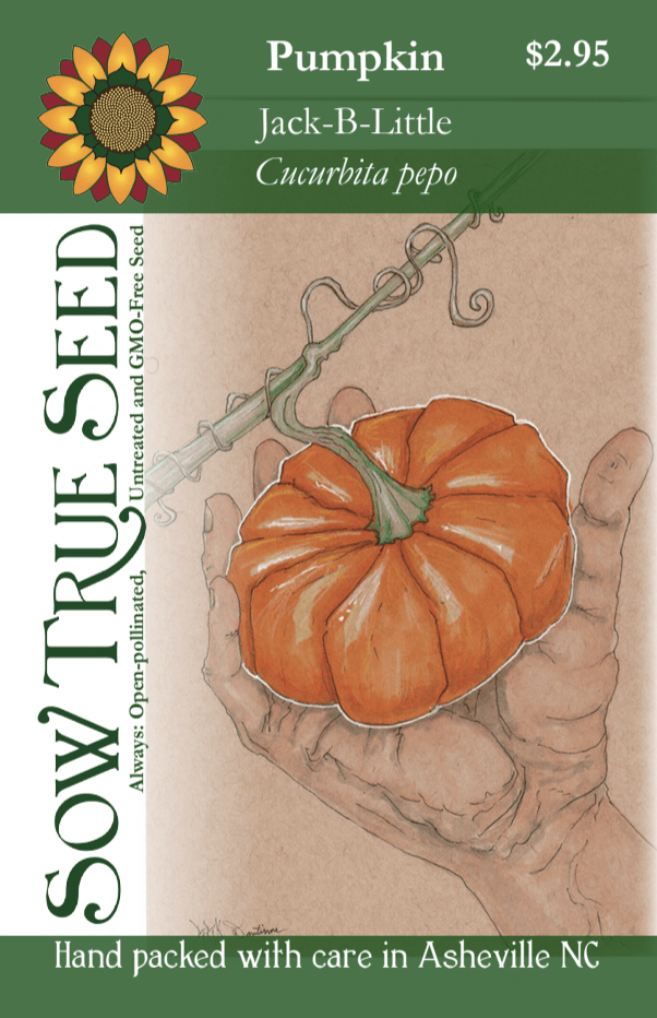 Pumpkin seeds