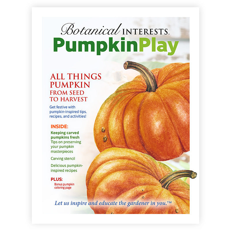 Pumpkin play activity e