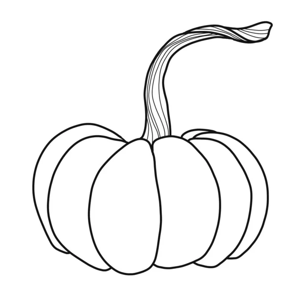 Pumpkin seed sketch stock photos royalty free pumpkin seed sketch images