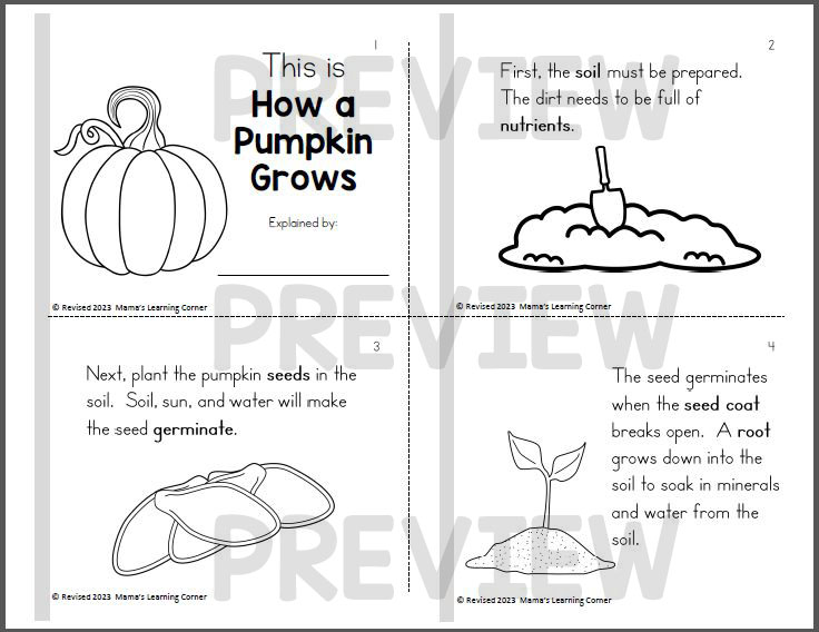 Pumpkin life cycle worksheets and booklet