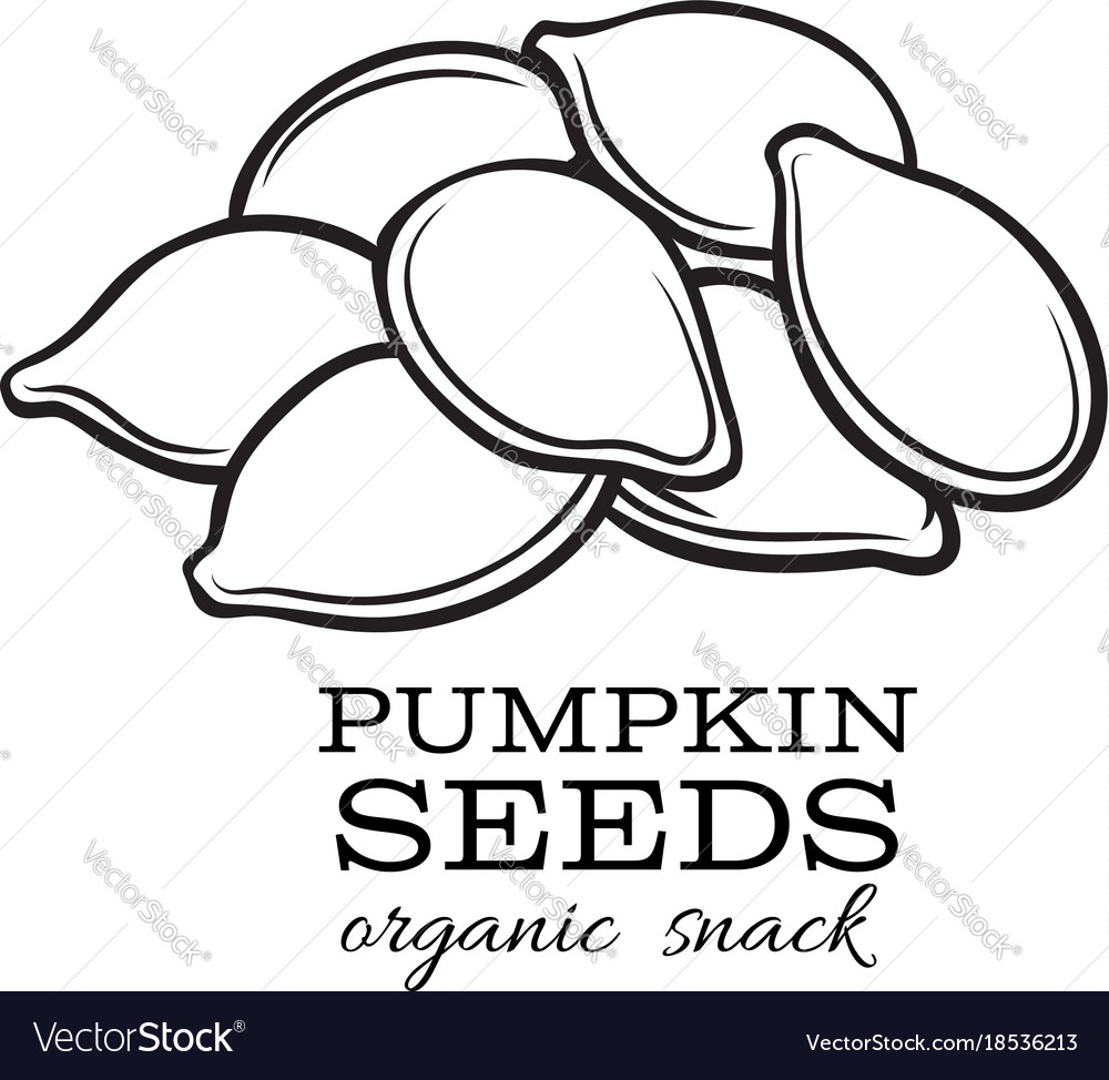 Pumpkin seeds royalty free vector image