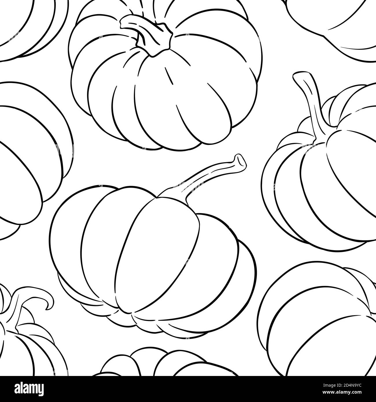 Pumpkin seed drawing cut out stock images pictures