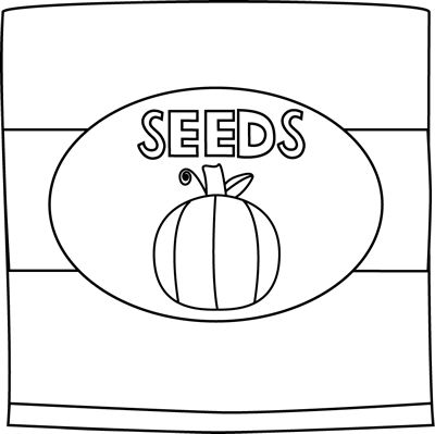 Black and white pumpkin seed packet white pumpkins seed packets pumpkin seeds