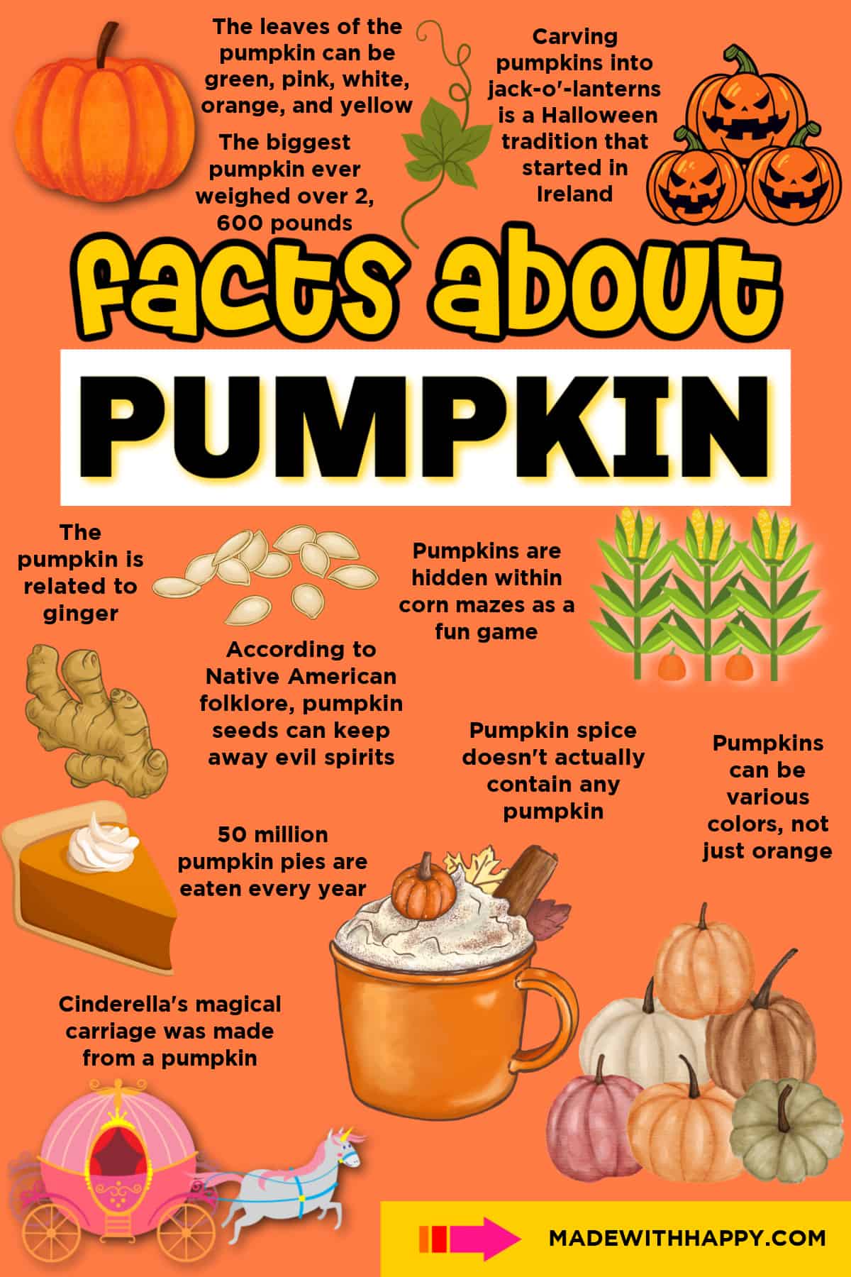 Pumpkin facts for kids with printable pumpkin activities