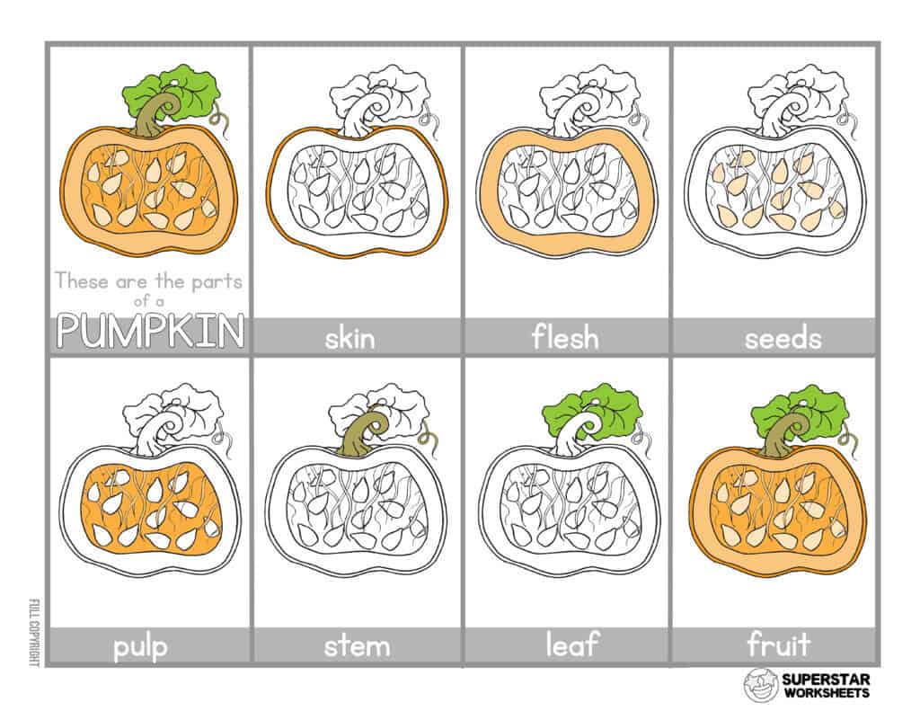 Pumpkin worksheet