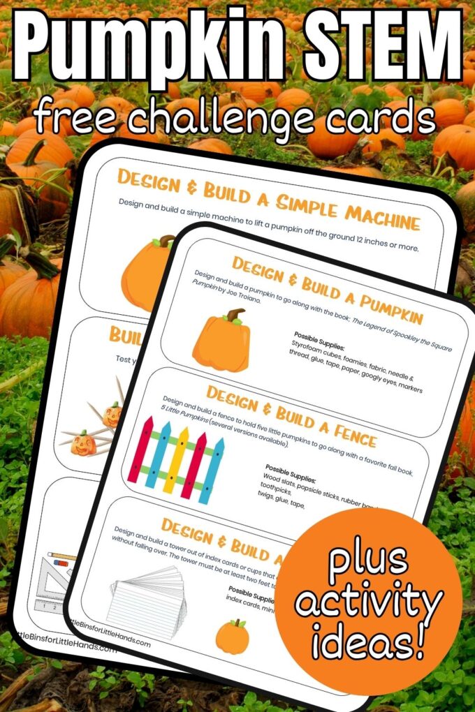 Pumpkin stem challenge cards