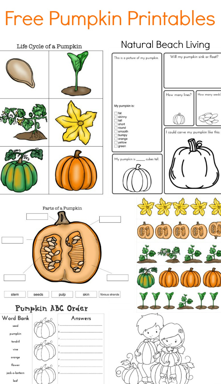 Pumpkin activities for kids