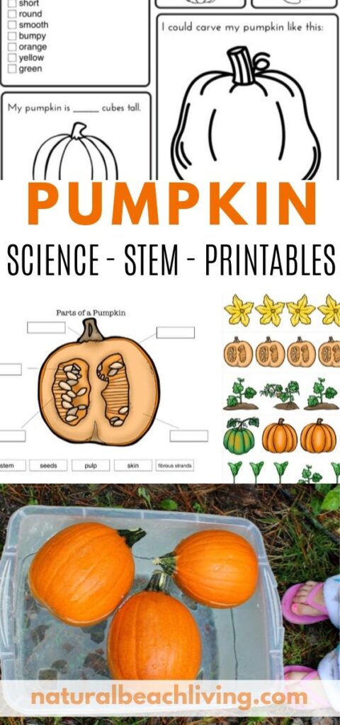 Pumpkin activities for kids