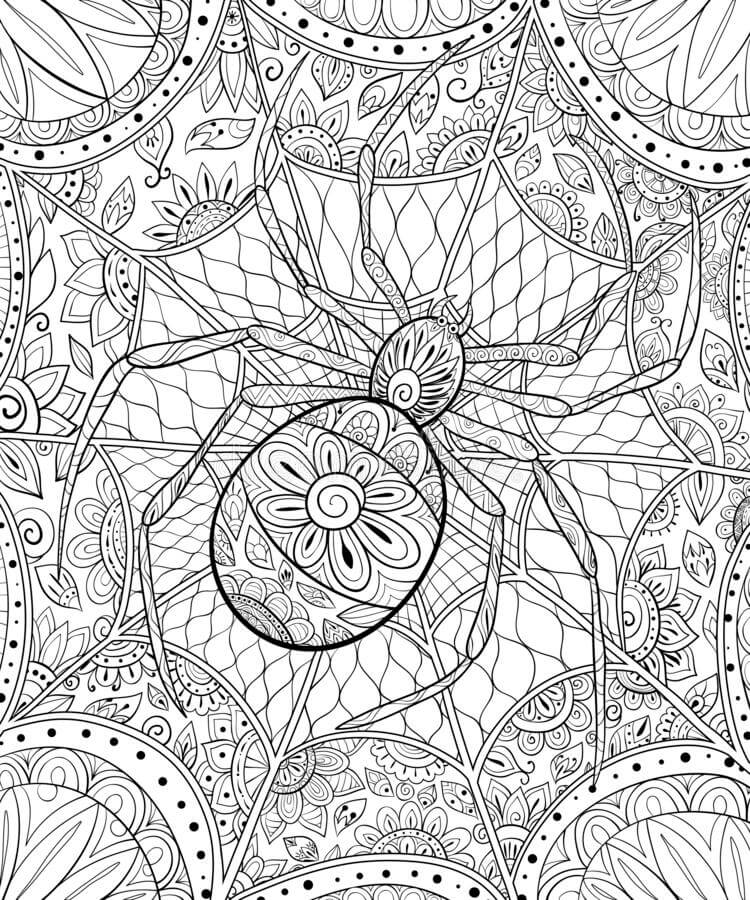 Spider in halloween mandala coloring page
