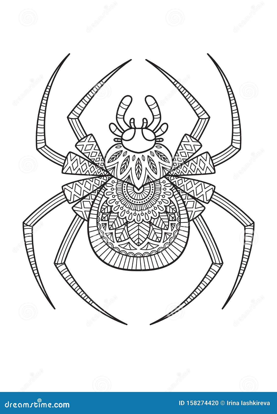 Coloring spider stock illustrations â coloring spider stock illustrations vectors clipart