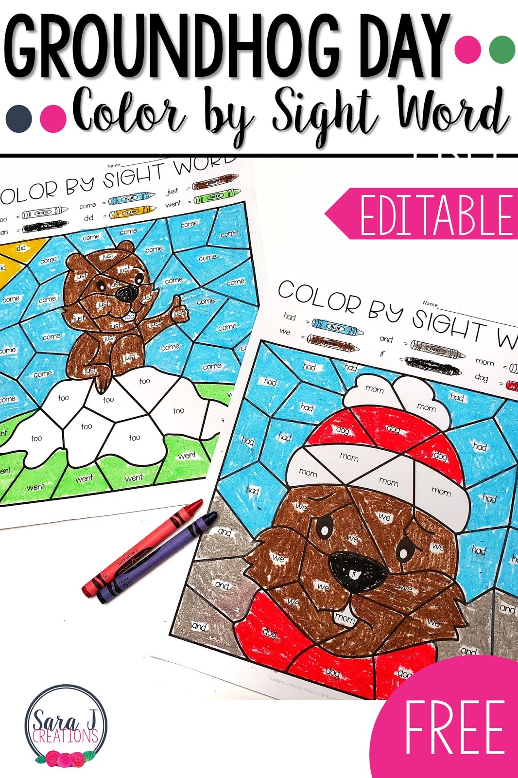 Free groundhog day color by sight word activities sara j creations