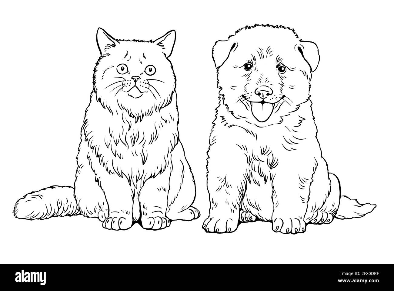 Puppies and kittens hi