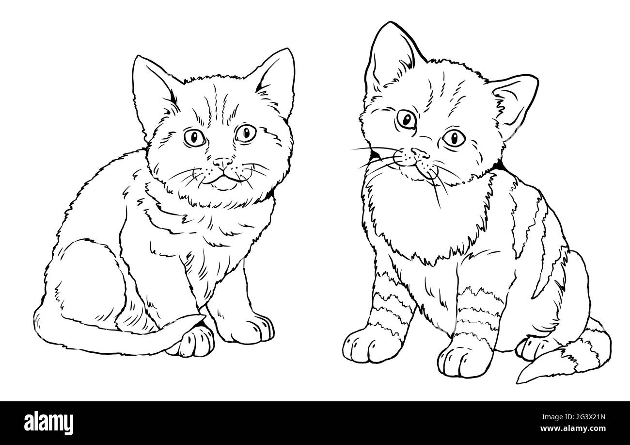 Cute kittens for coloring template for a coloring book with little cats stock photo