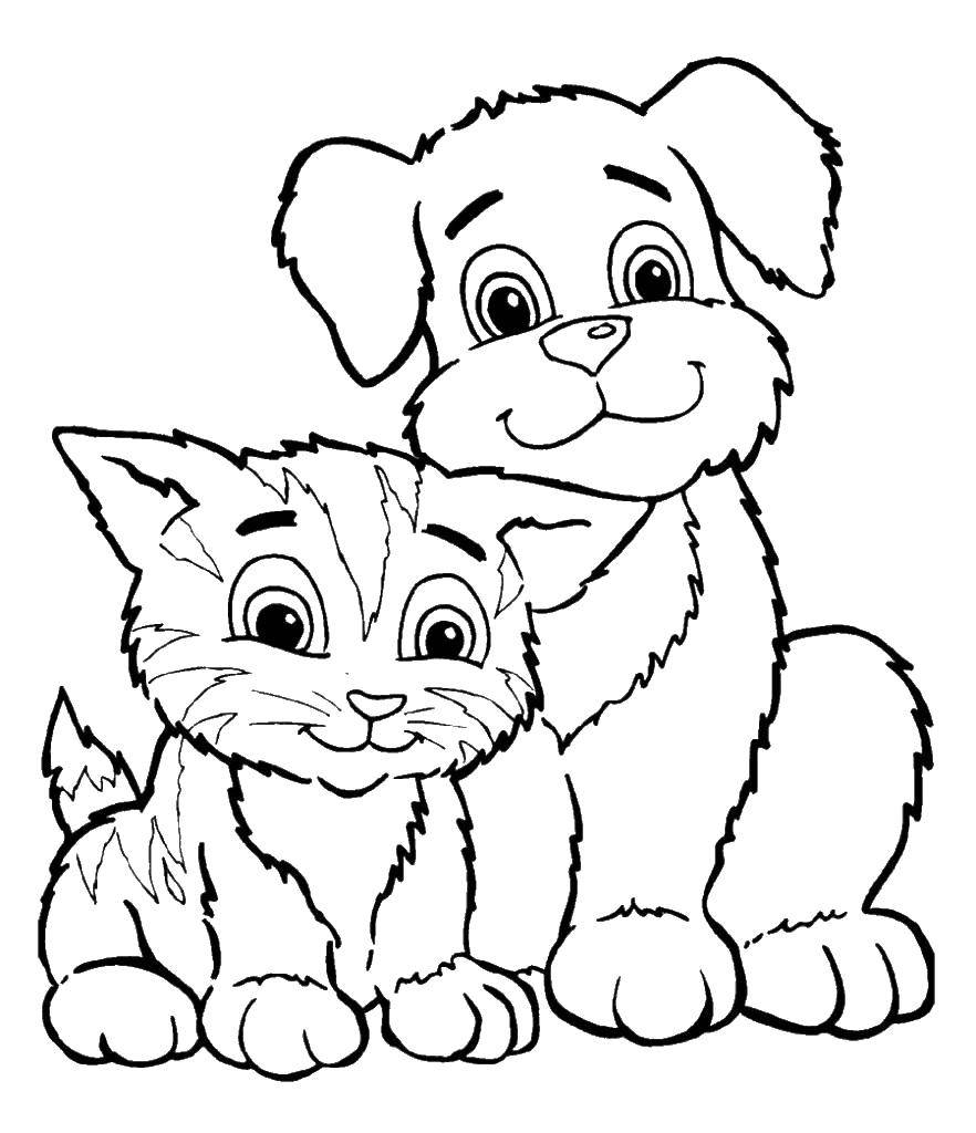 Online coloring pages kitten coloring kitten and puppy animals