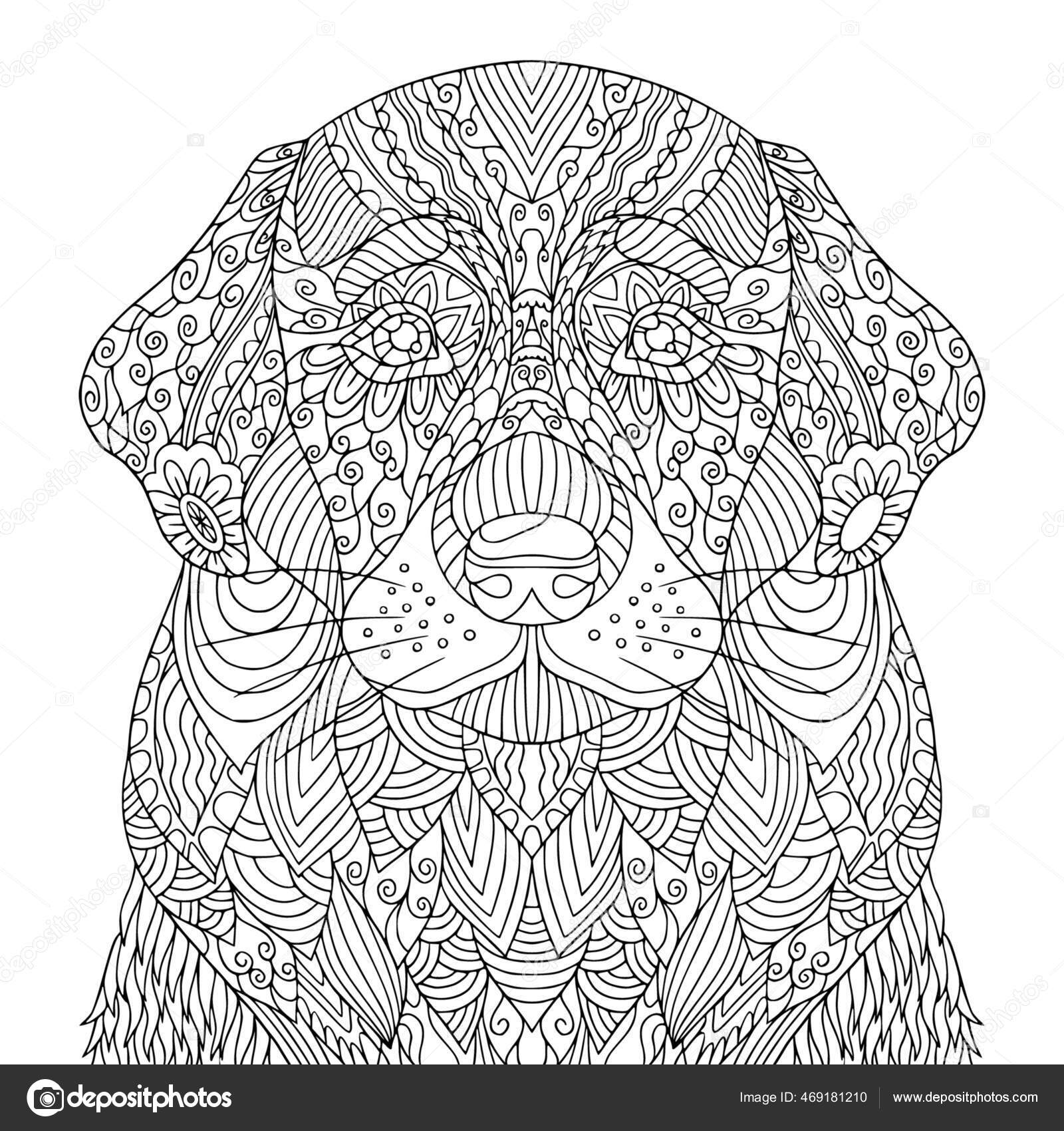Pretty dog coloring book page adult puppy vector line art stock vector by daniellabelaya