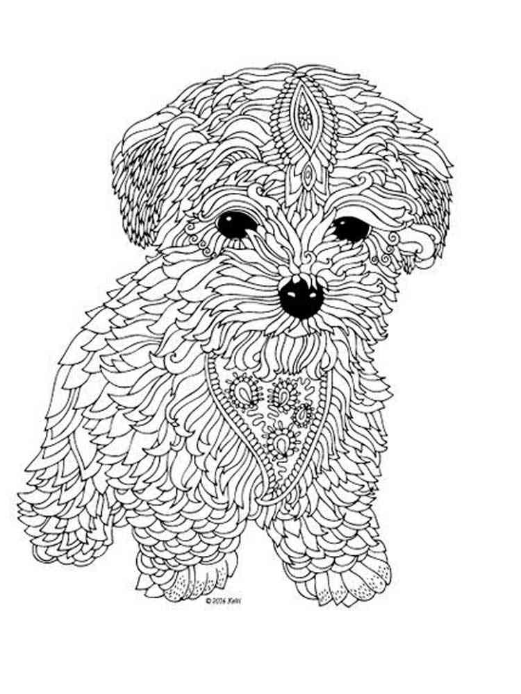 Puppies coloring pages for adults